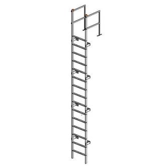 Free Stairs Revit Download – Fixed Ladder with Cage and Overshoot (Left ...