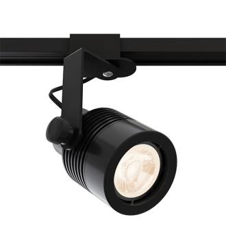 track lighting bim